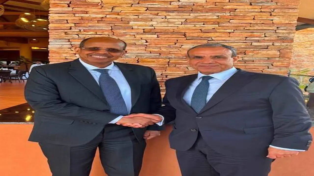 مصر والاتحاد الإفريقي يعززان التعاون استعدادًا لقمة العلمين المقبلة